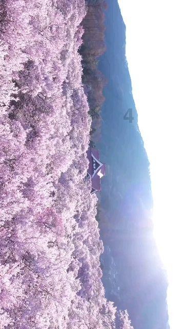 叠方块消消看
